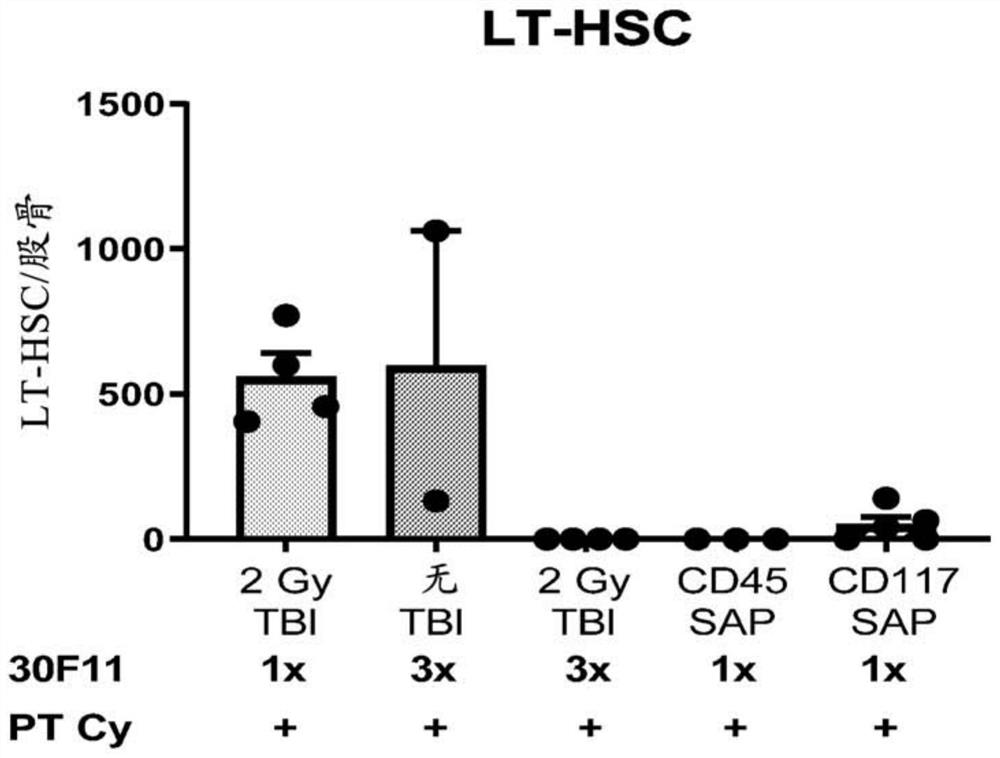 Methods for allogeneic hematopoietic stem cell transplantation