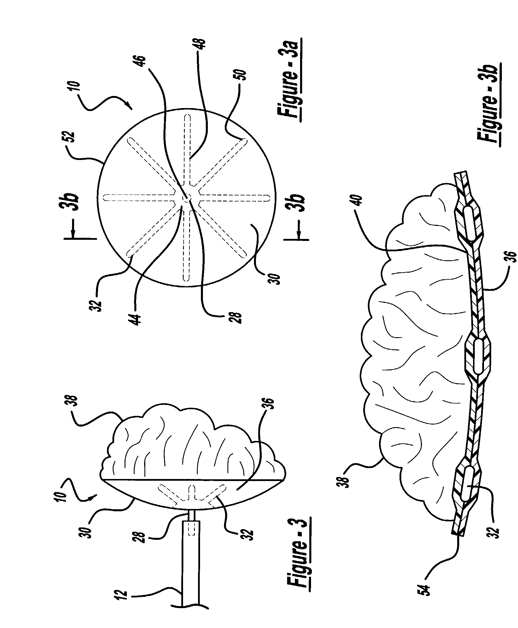 Aneurysm embolic device with an occlusive member