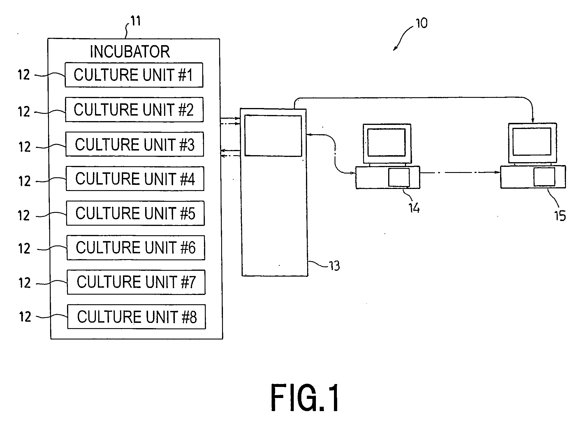 Cell Culture Shaking Device and Shaking Culture Method as Cell Culture Method
