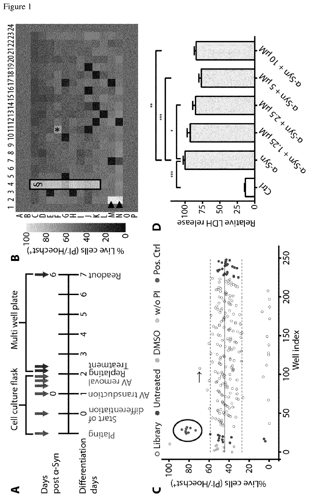 Treatment of synucleinopathies