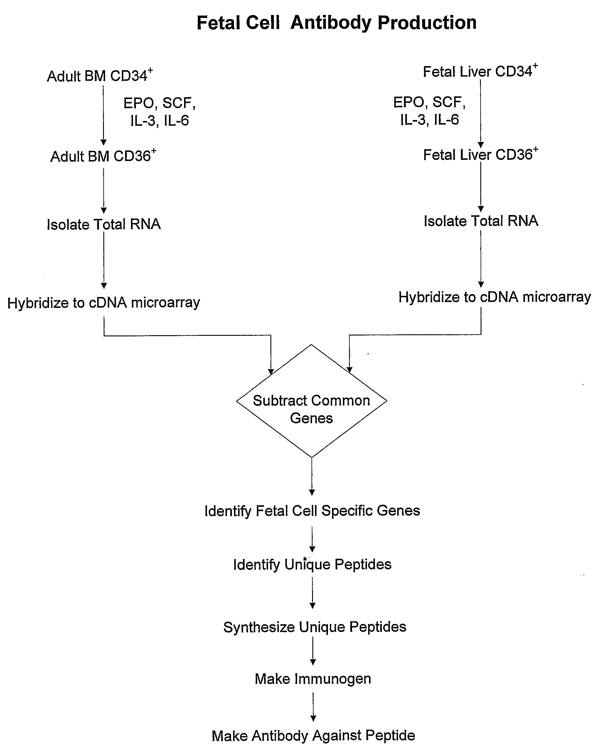 Antibodies Against Cells of Fetal Origin