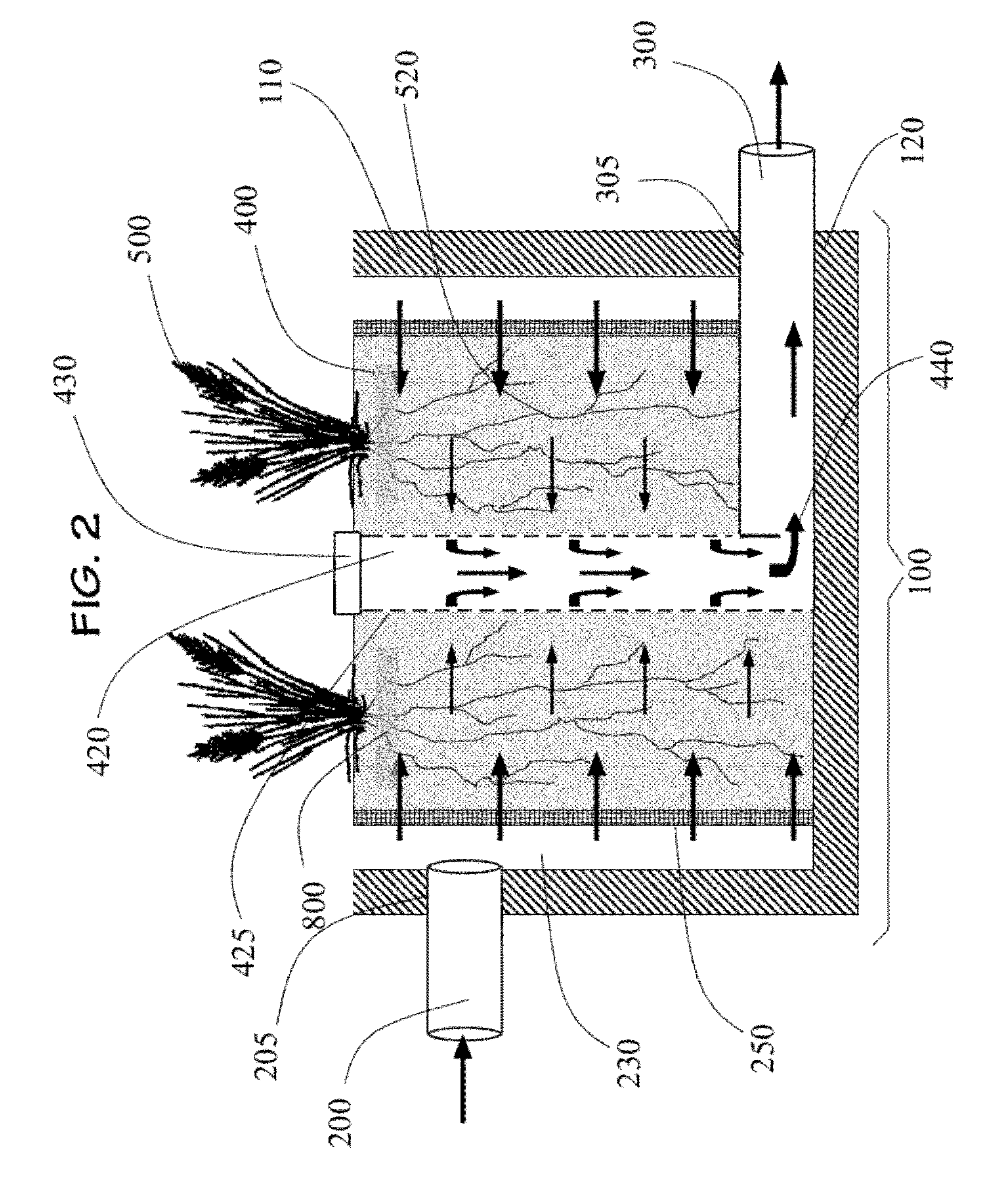 Wetland Biofilter Chamber with Peripheral Catch Basin and Method of Use Thereof