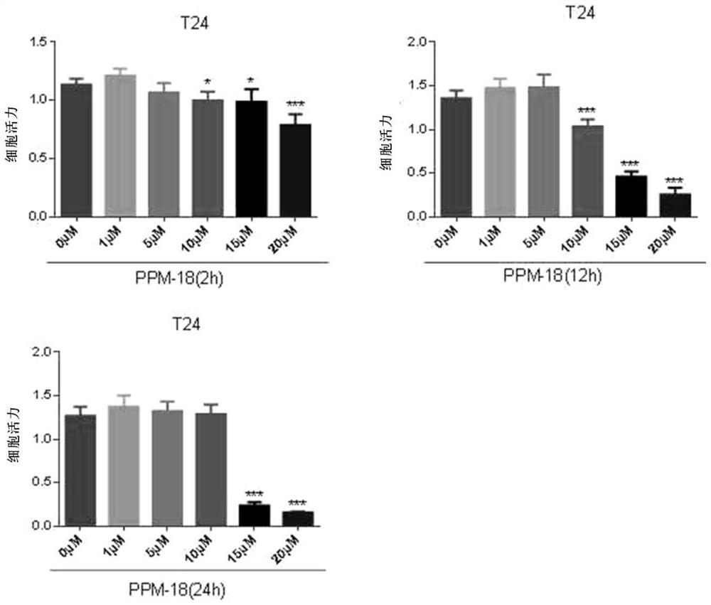 Application of ppm-18 inducing apoptosis of bladder cancer cells by activating intracellular reactive oxygen species