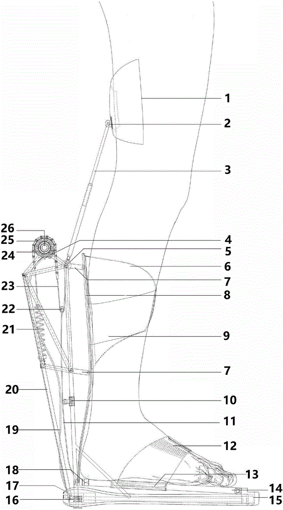 Assistant leg based on multi-stage spring lock mechanism