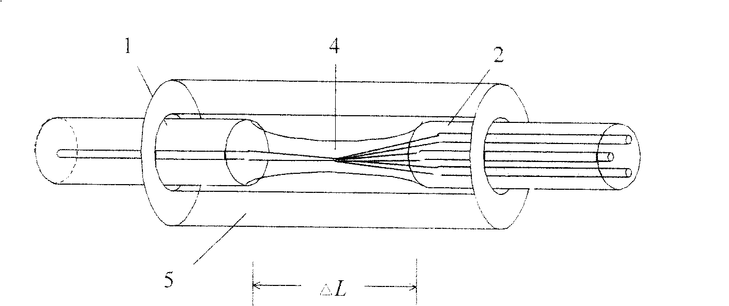 Single fiber and multi-core fiber coupler and fused biconic taper coupling method thereof