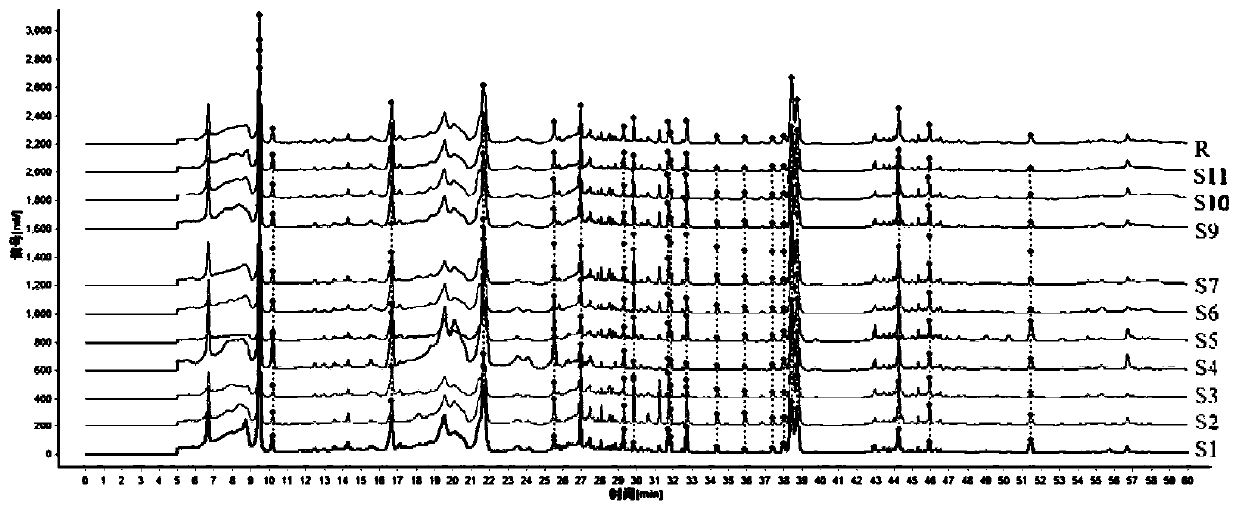 Fingerprint spectrum detection method for aboveground part of ligusticum wallichii