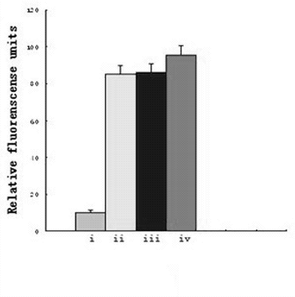 Tumor-targeted adenovirus polymer drug delivery system and preparation method thereof