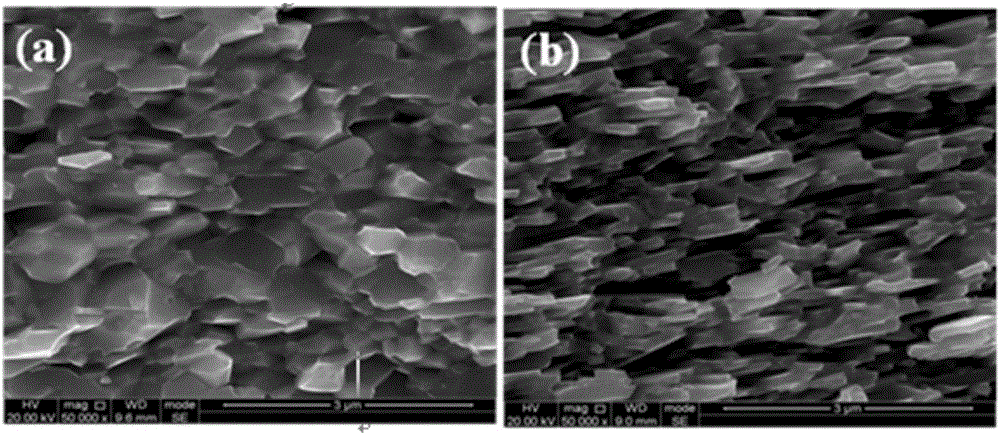 Anisotropic nanocrystalline rare earth permanent magnet and preparation method therefor