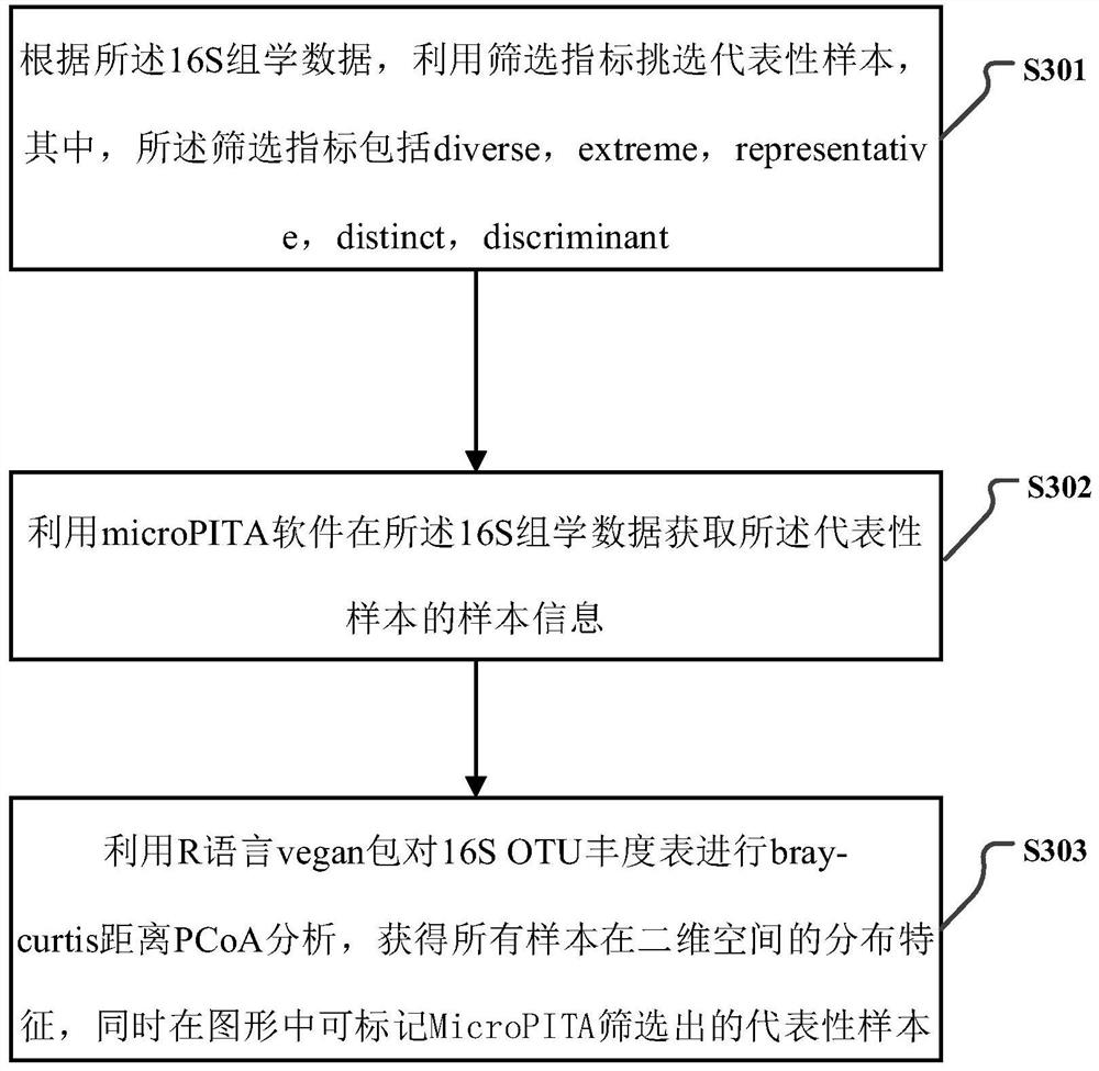 16S and metagenome sequencing data association analysis method and system, and equipment