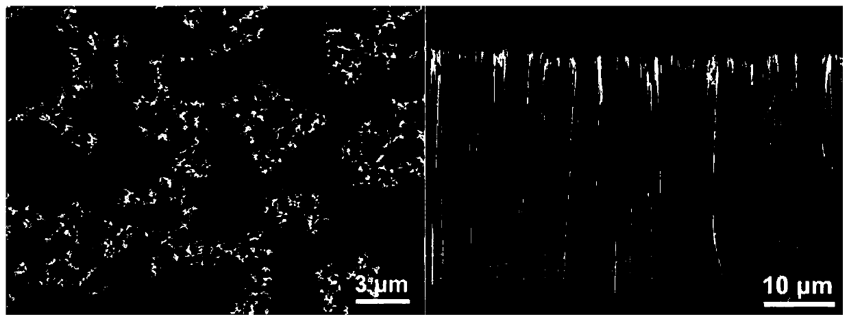 A fluorescent chemical sensor for detecting sodium dithionite and its preparation method and application