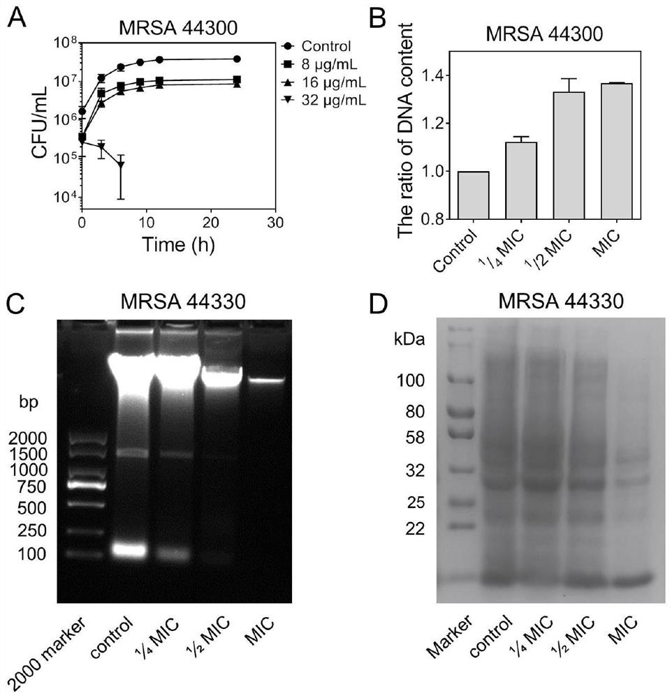 New antibacterial application of cyanine dye ir780