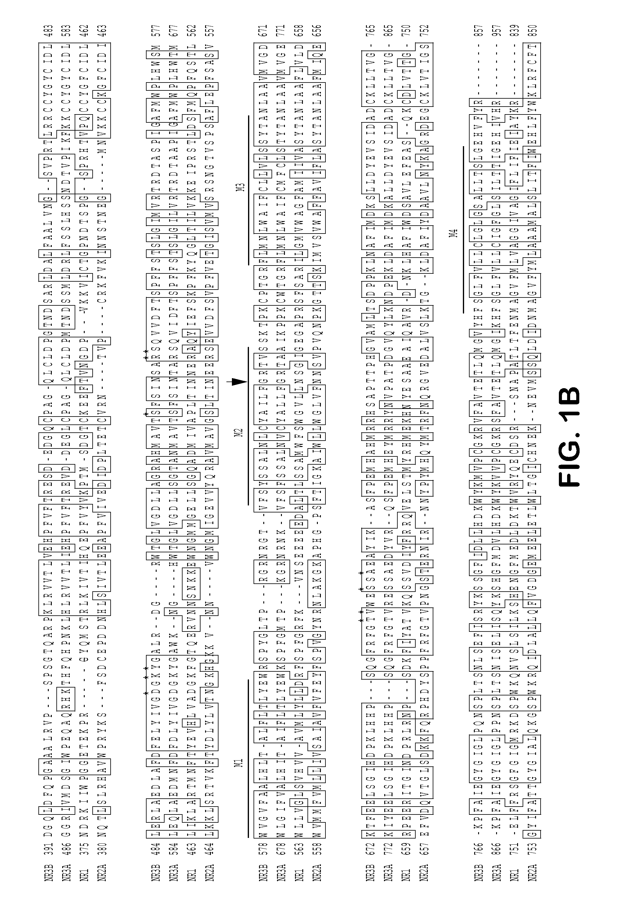 Excitatory glycine receptors and methods