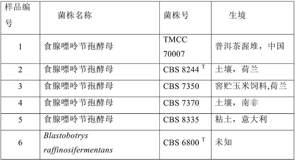 DNA barcode primers, DNA barcodes, kit and method for rapidly identifying Blastobotrys adeninivorans strain, and applications of DNA barcode primers and DNA barcodes