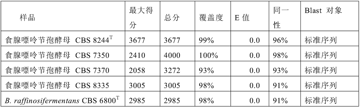 DNA barcode primers, DNA barcodes, kit and method for rapidly identifying Blastobotrys adeninivorans strain, and applications of DNA barcode primers and DNA barcodes