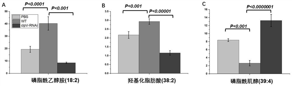 Combined metabolic marker and detection kit for judging genetic modification effect of pathogenic bacteria of visceral white-spot disease of epinephelus coioides