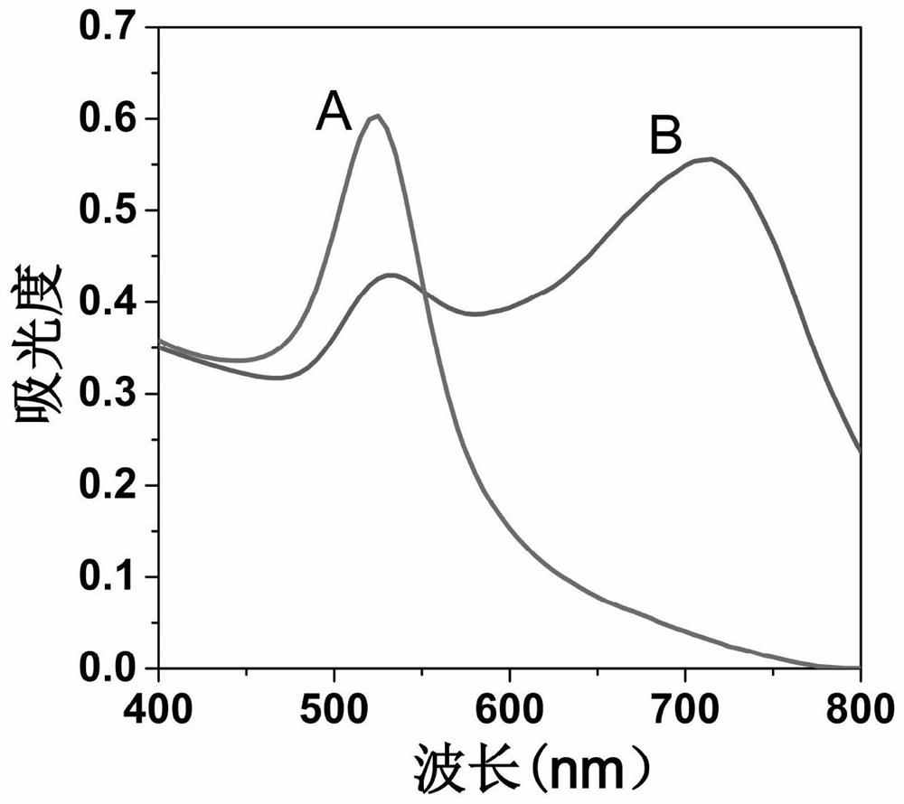 Rapid Determination Method of Pyridoxal Phosphate Using Nanogold as Chromogenic Probe