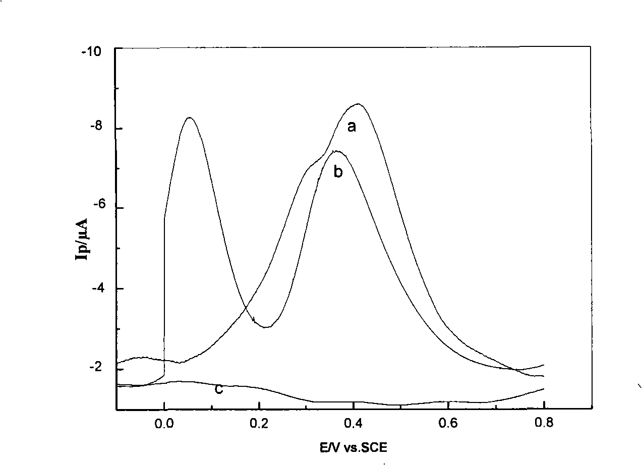 Method for simultaneously determining dopamine and ascorbic acid by utilizing modified glassy carbon electrode