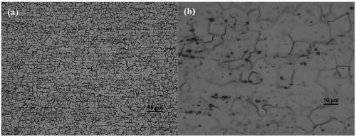 Low-cost high-room temperature plastic deformation magnesium alloy and preparation method thereof