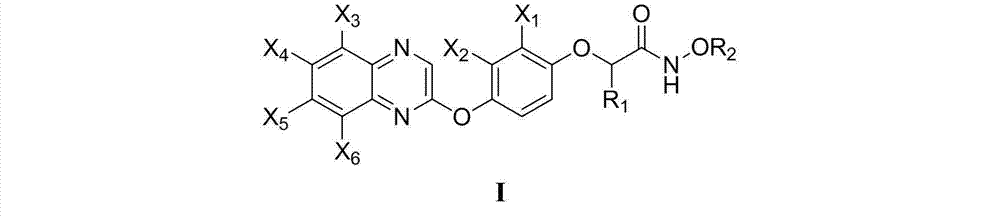 2-[4-(quinoxaline-2-oxygroup) phenoxy] alkylamide and application thereof