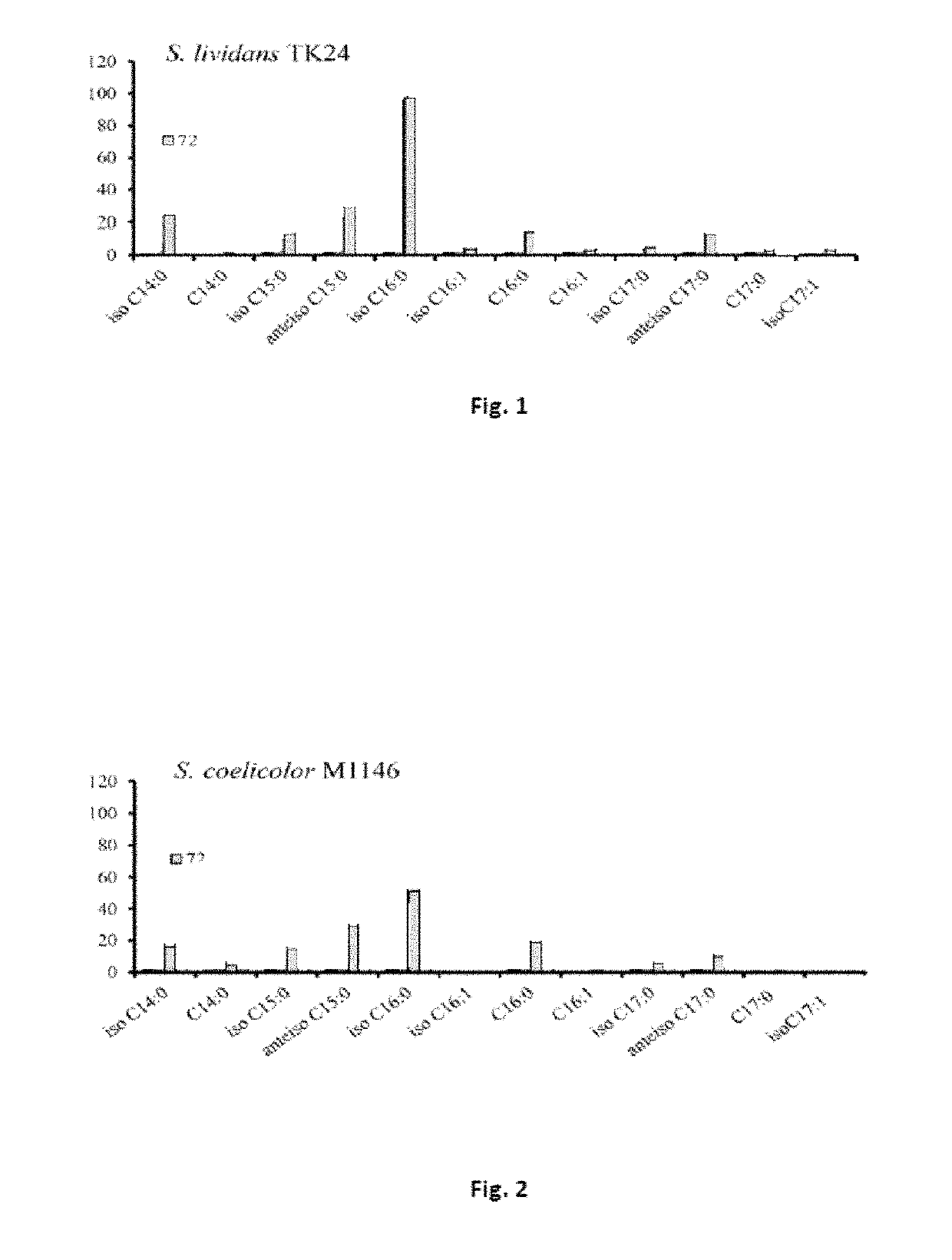 Triacylglycerol-based lipid composition