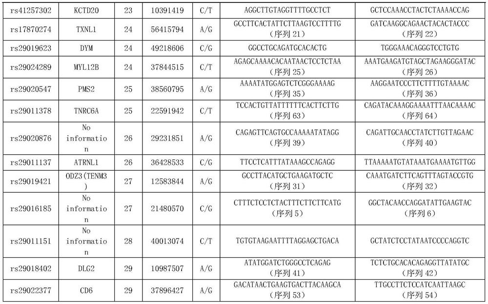 SNP marker combination and its application for traceability identification of beef cattle individual and meat products