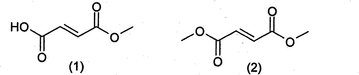 Prodrugs of methyl hydrogen fumarate, pharmaceutical compositions thereof, and methods of use thereof