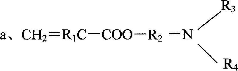 Forming polymer for amine oxide type amphoteric hair and application thereof