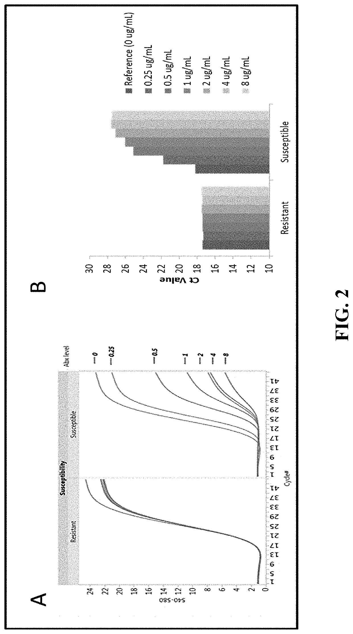 Compositions and methods for rapid identification and phenotypic antimicrobial susceptibility testing of bacteria and fungi