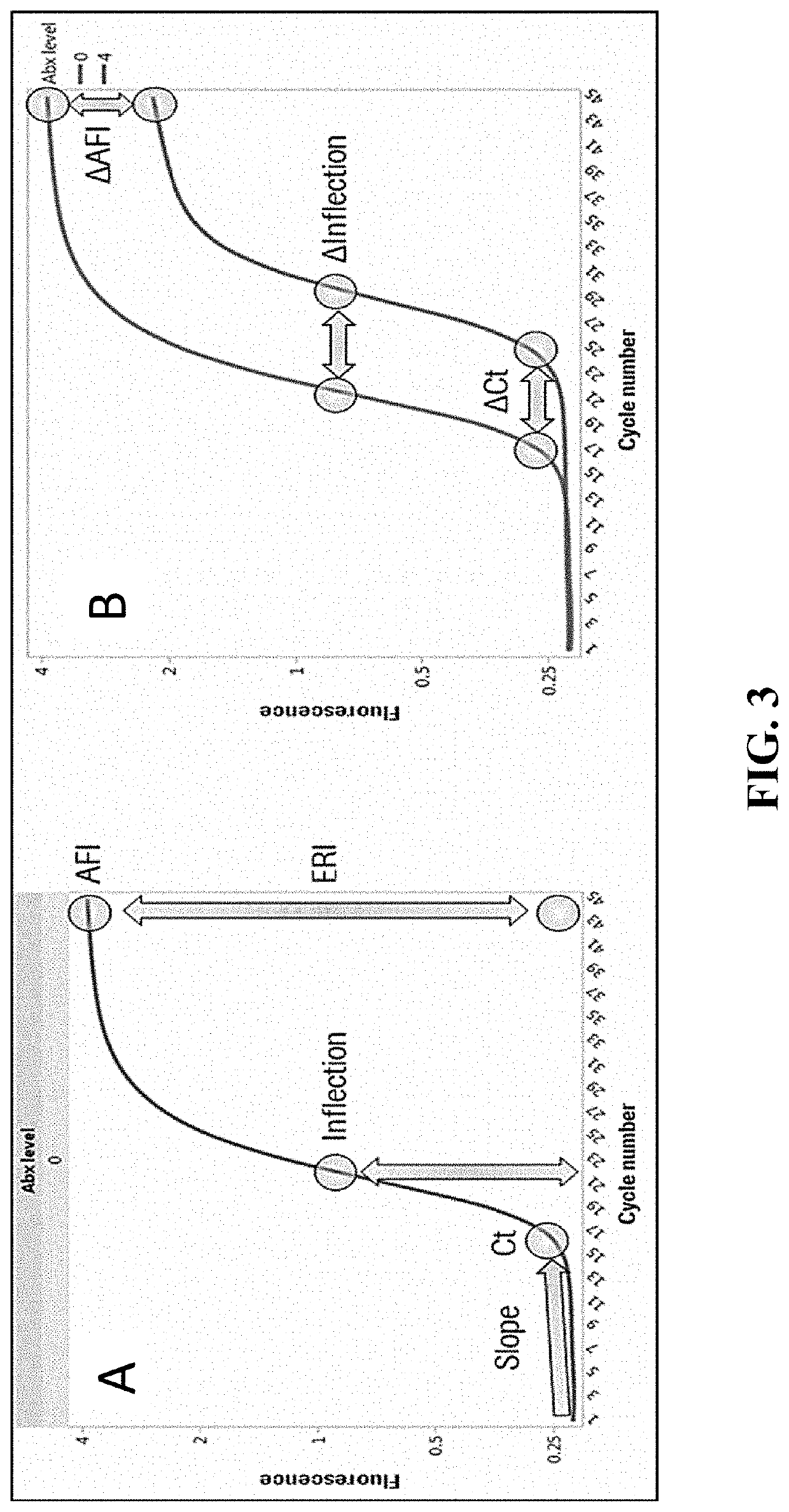 Compositions and methods for rapid identification and phenotypic antimicrobial susceptibility testing of bacteria and fungi