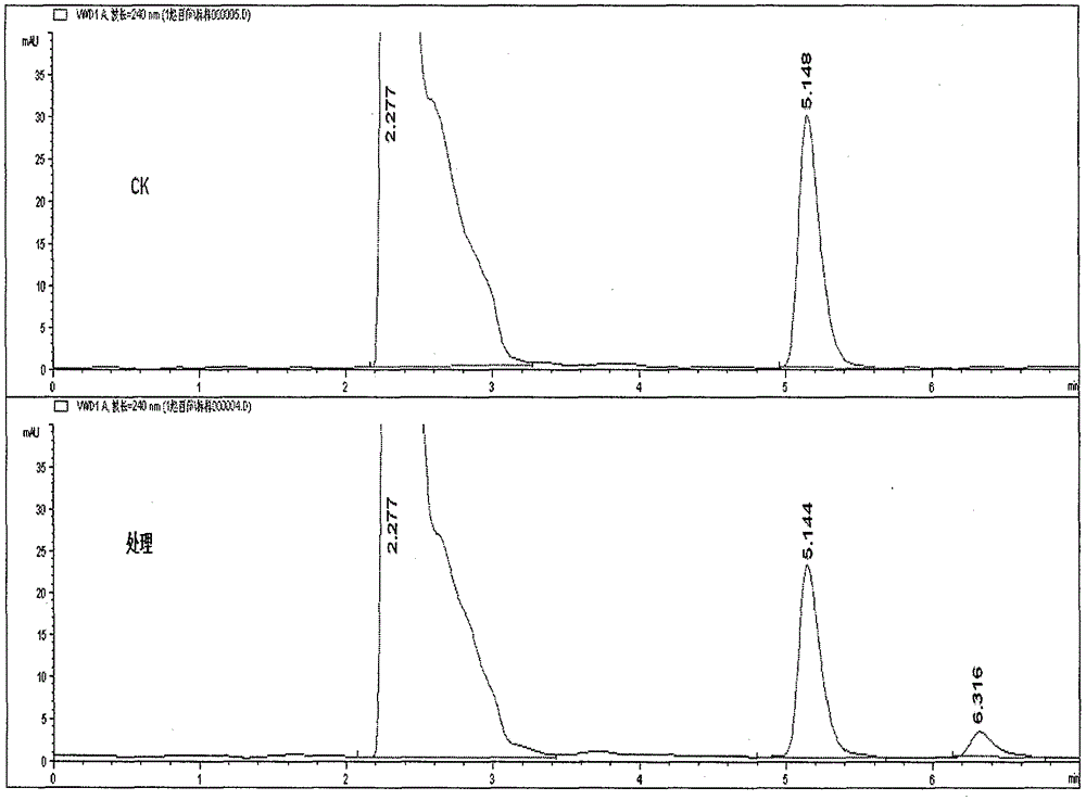 Degradation bacterium capable of efficiently degrading propyzamide and application thereof