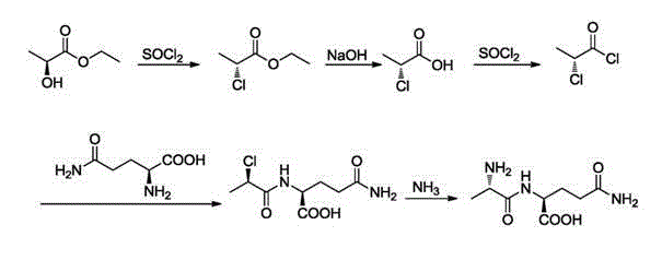 Preparation method and technological system for enzymatically synthesizing N(2)-L-alanyl-L-glutamine