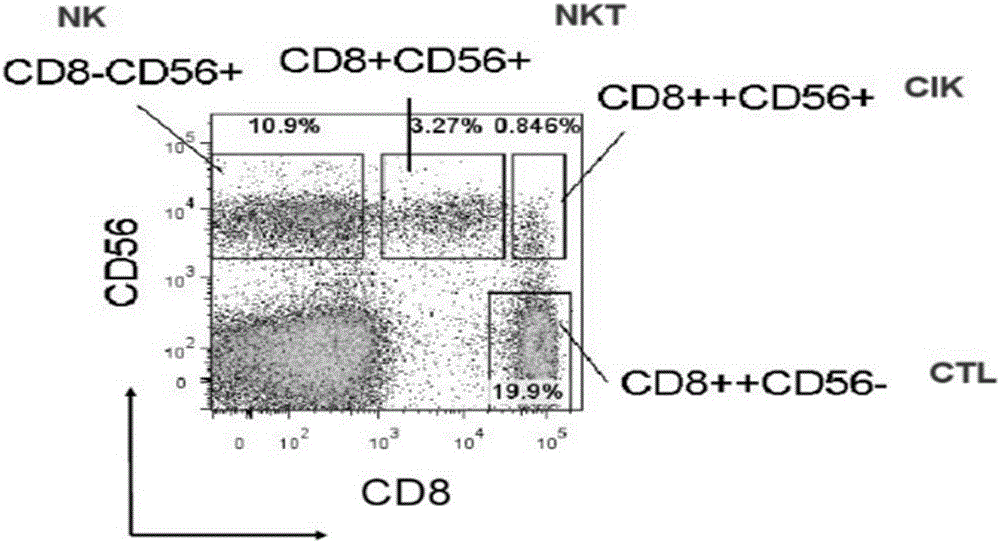 Method for preparing efficient clinical-level CD 56&lt;+&gt; group immune cell