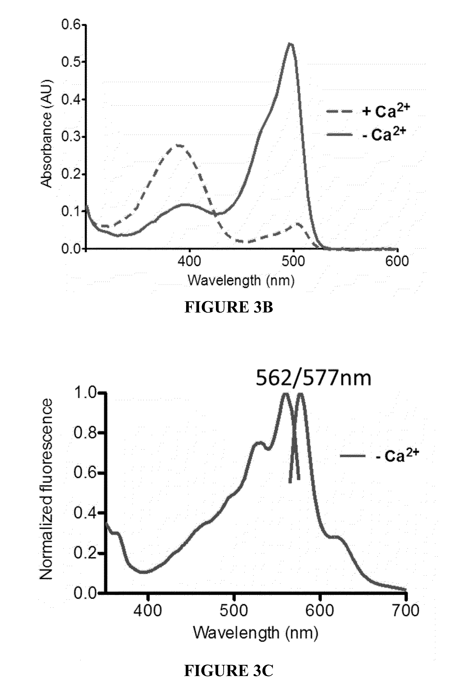 Fluorescent protein-based indicators