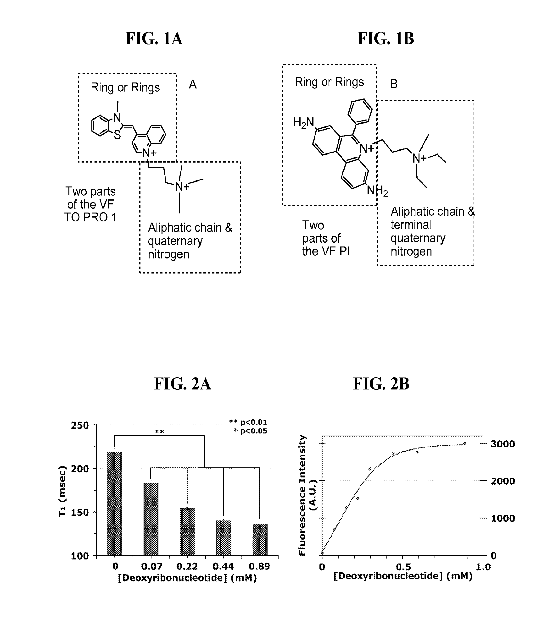 Vital fluorochrome conjugates and methods of use
