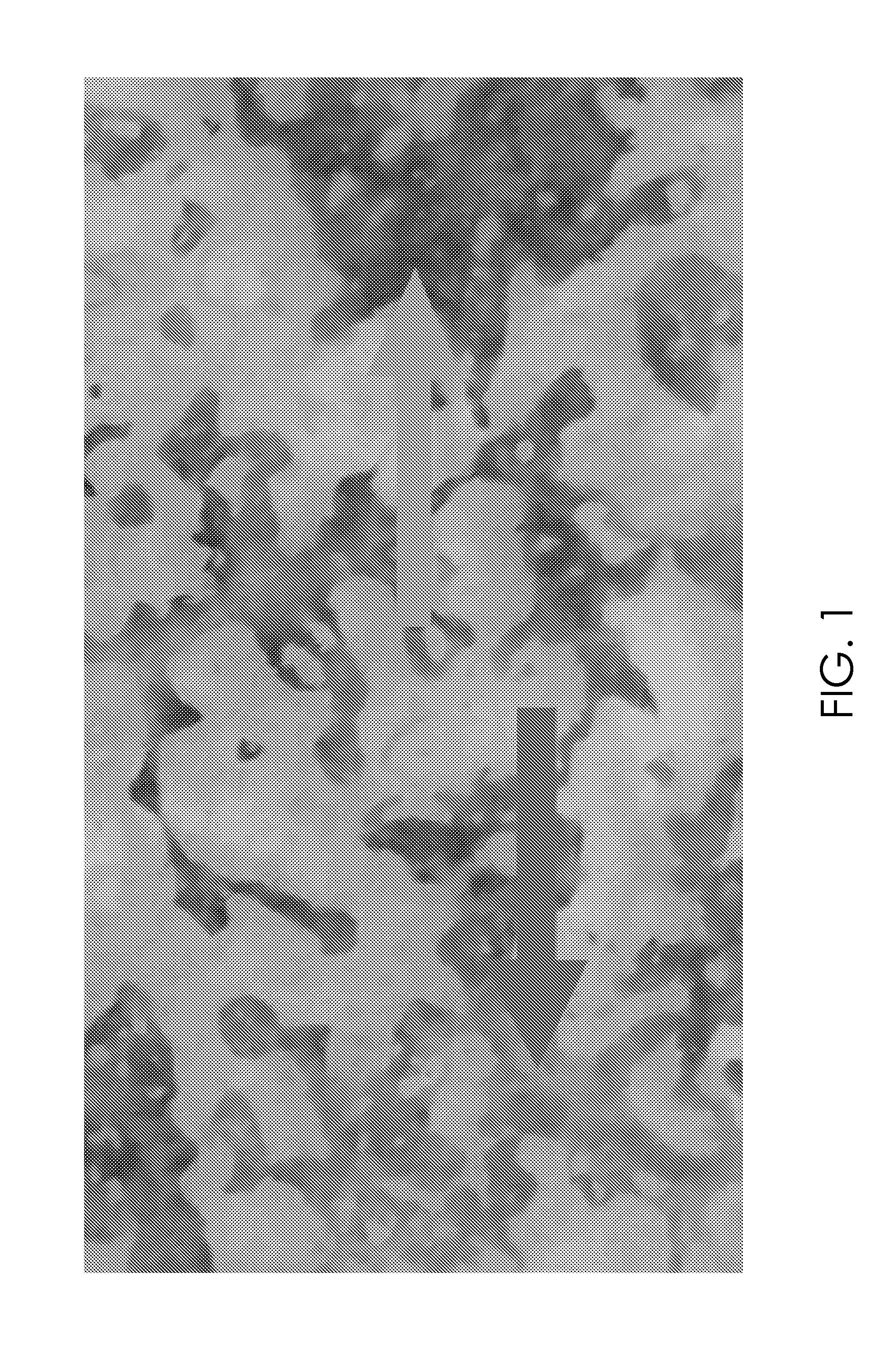 Methods of Culturing Retinal Pigmented Epithelium Cells, Including Xeno-Free Production, RPE Enrichment, and Cryopreservation