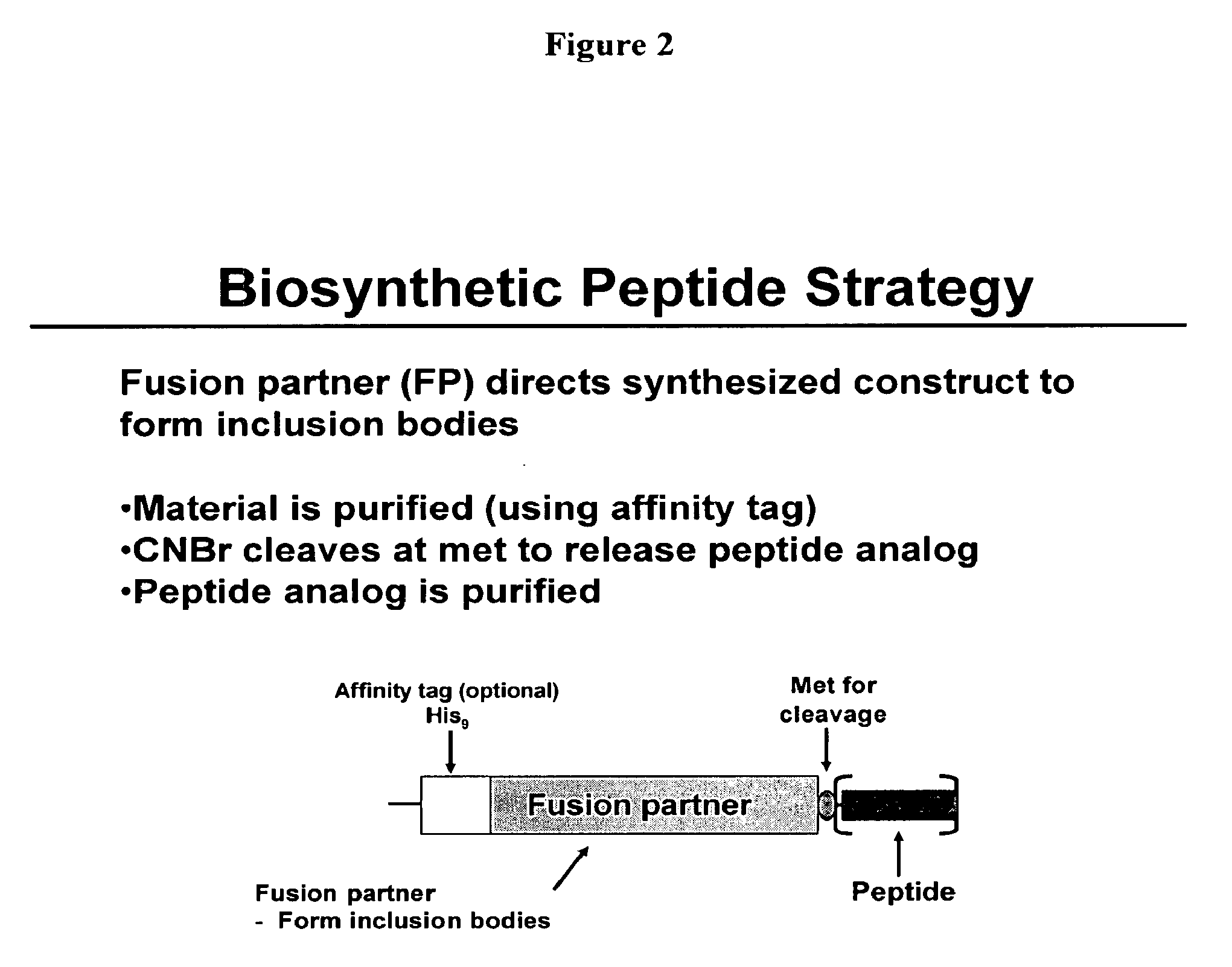 Biosynthetic Polypeptide Fusion Inhibitors