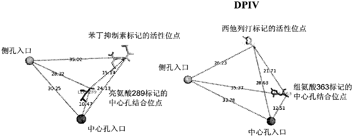 Dual alanyl-aminopeptidase and dipeptidyl-peptidase iv inhibitors