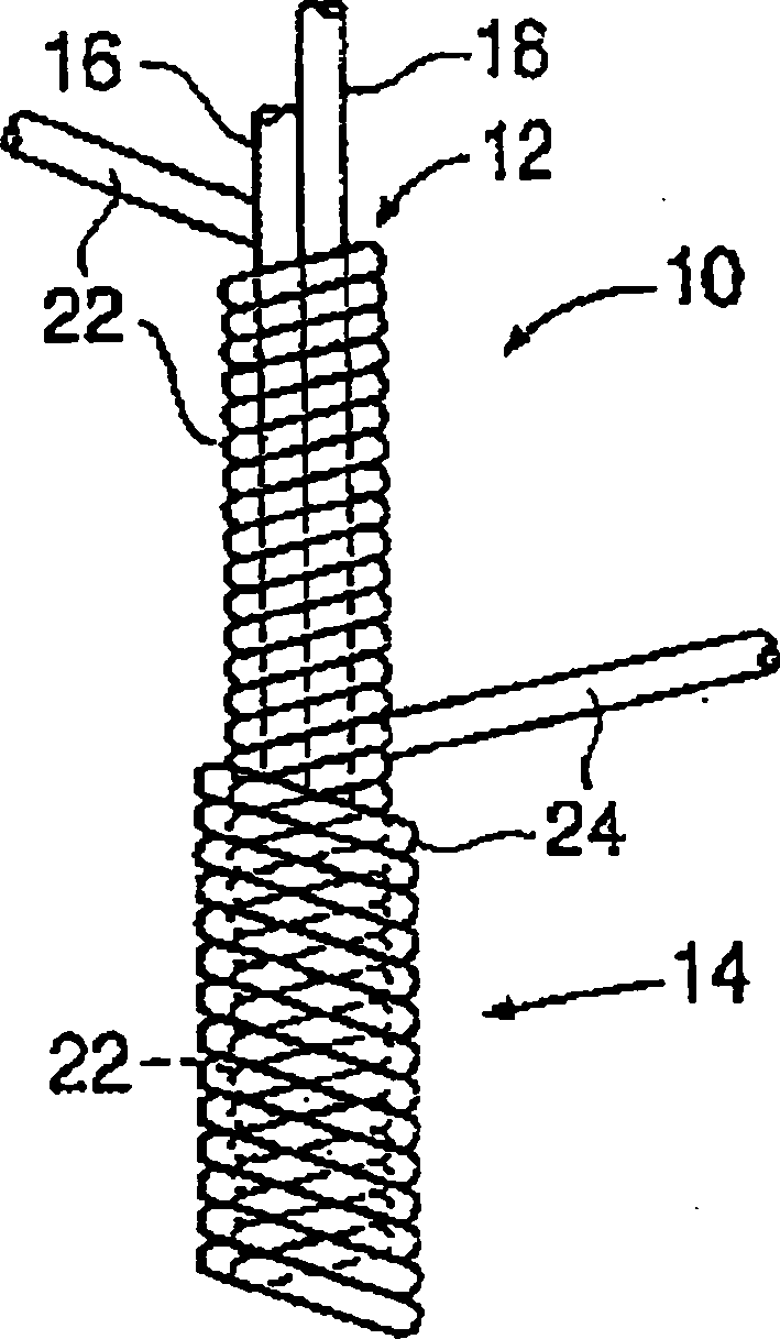Composite fiber and articles made therefrom