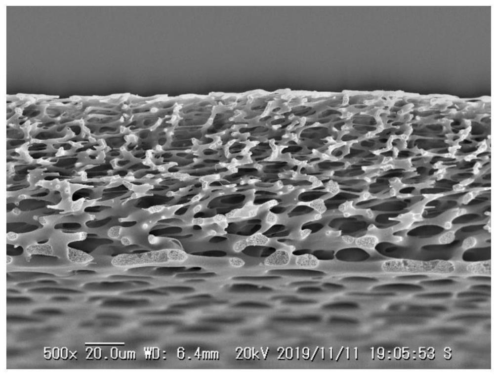 Polymer filter membrane with large and small mixed pore diameters as well as preparation method