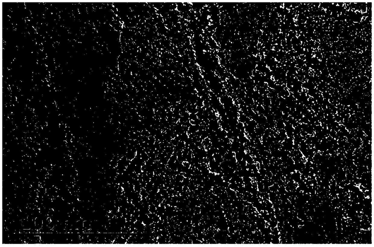 Preparation method of negative electrode material of lithium-ion battery loaded with nano-boron on graphene