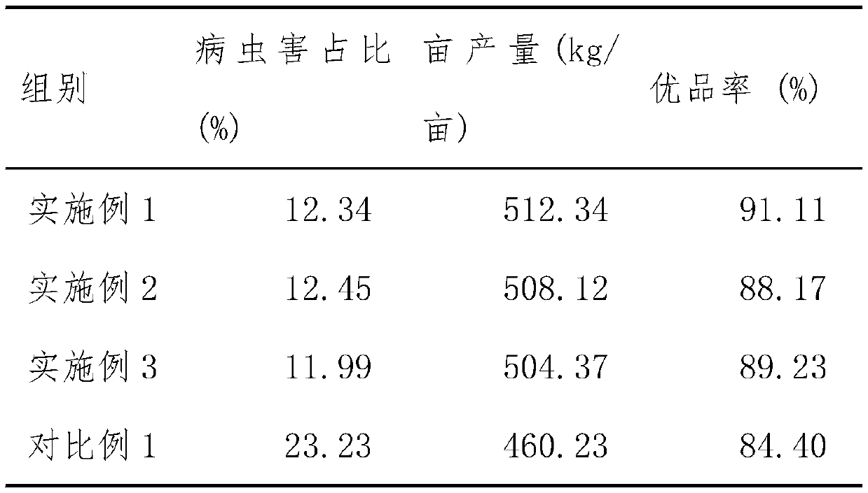 Bletilla striata seedling-raising method and standardized bletilla striata seedling cultivation method