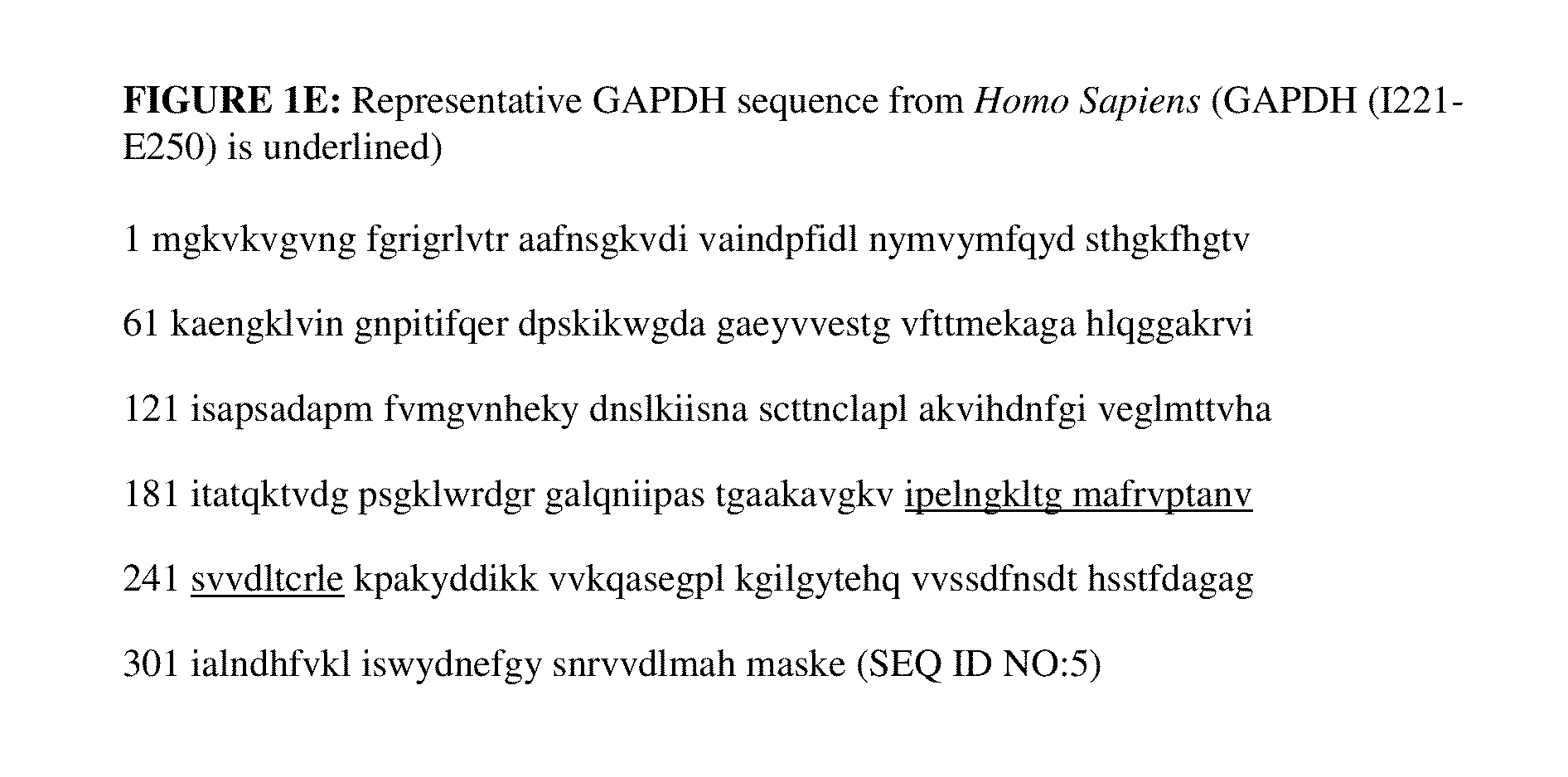 Compositions and methods for modulating AMPA receptor-mediated excitotoxicity