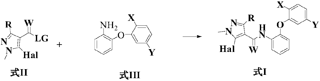 Amide compound and preparation method and application thereof