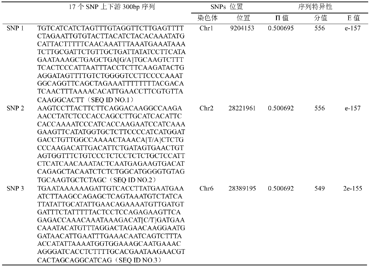 SNP molecular marker combination for constructing peach DNA fingerprint spectrum, application and method