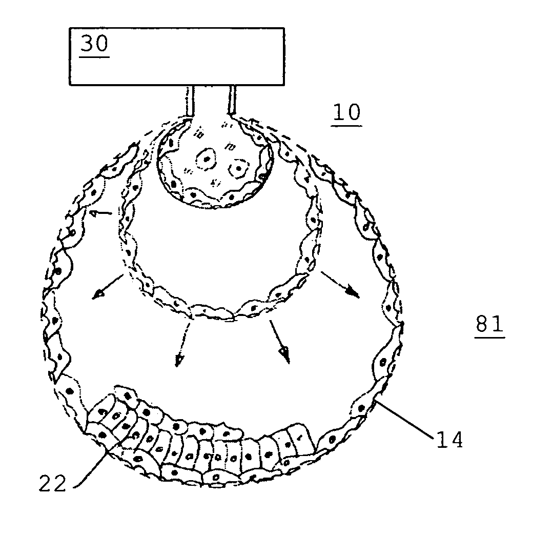 Method and device for the formation of biological cell material
