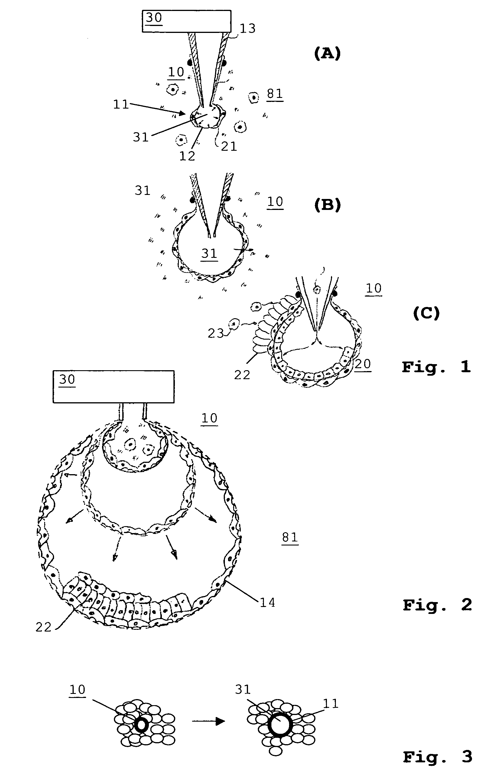 Method and device for the formation of biological cell material