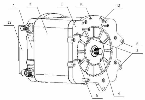 A pure electric vehicle drive motor