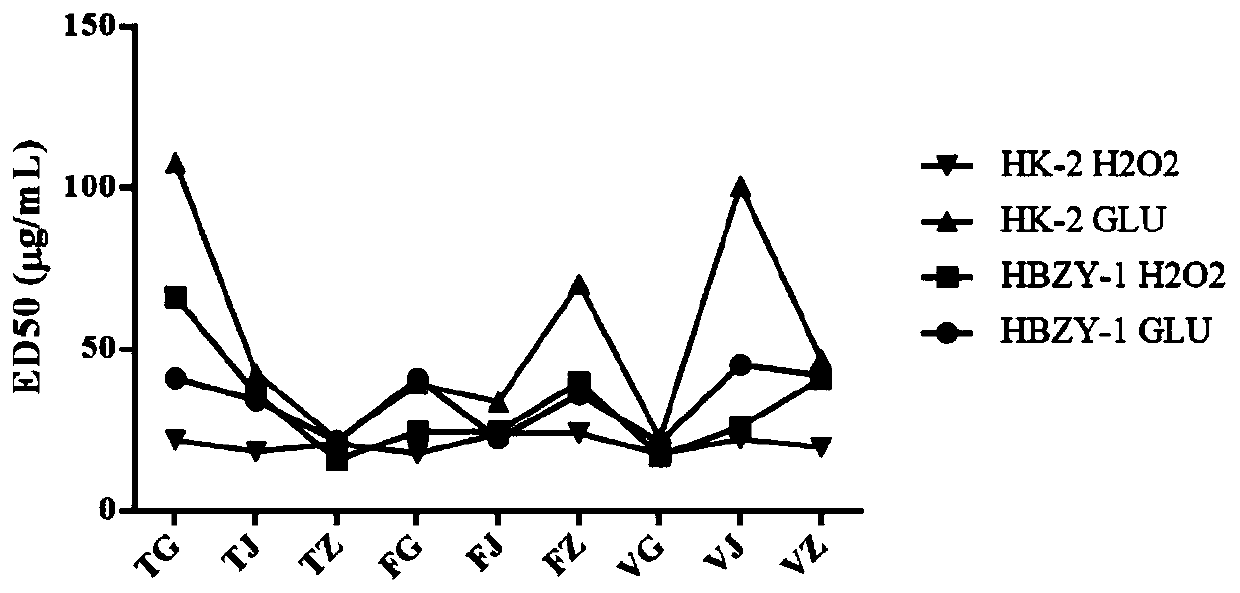 Composition for preventing and treating diabetic nephropathy and application thereof