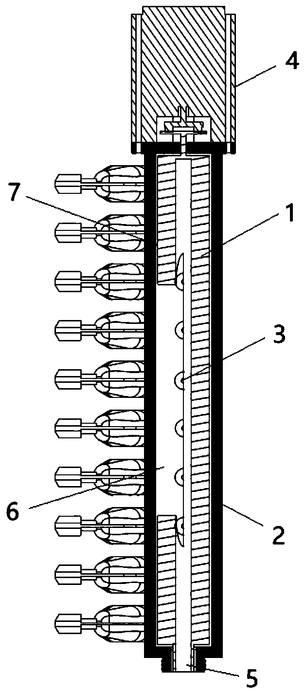 Gas distribution structure, burner and gas water heater