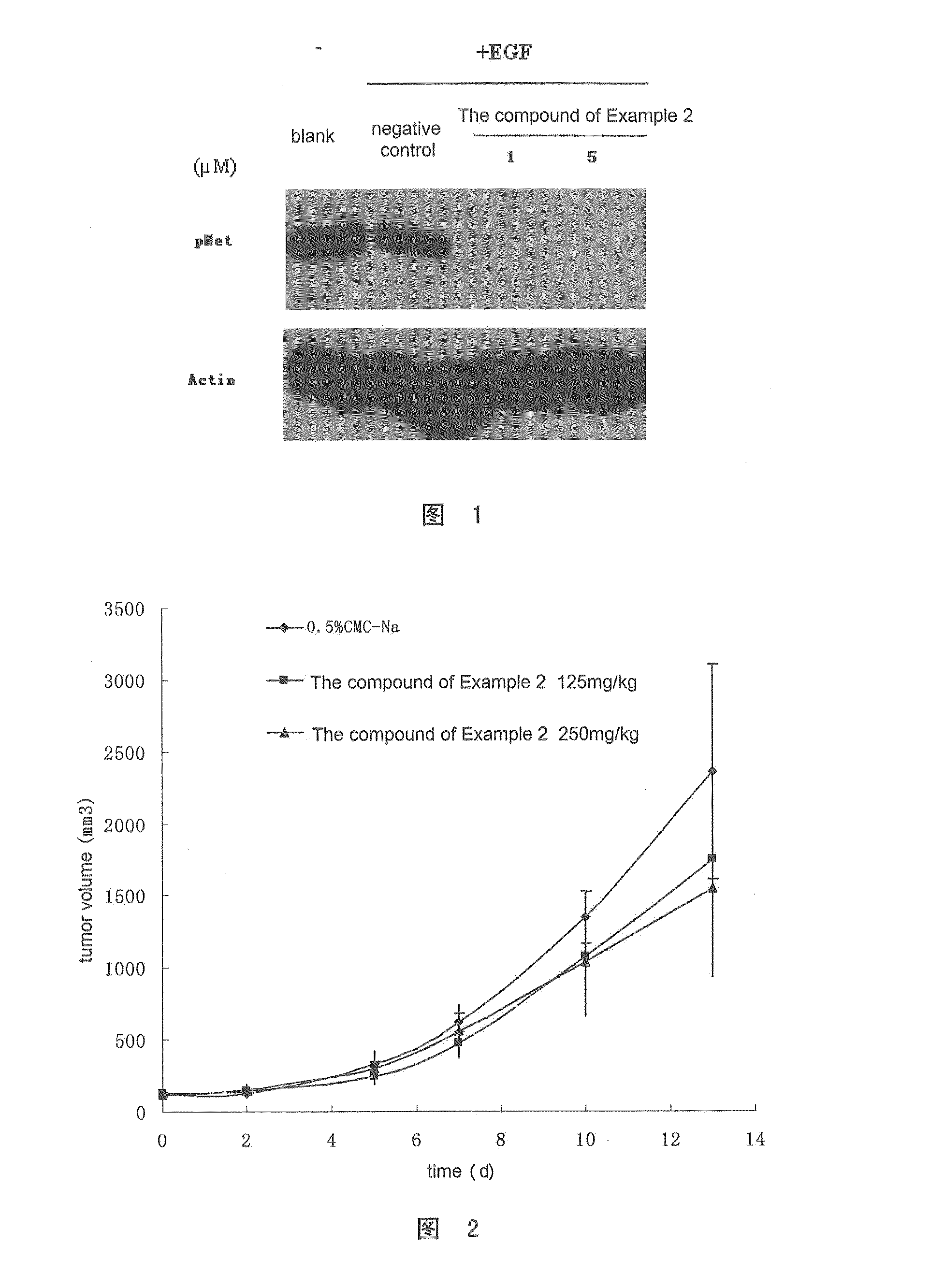 Aminoheteroaryl compounds and preparation method and use thereof